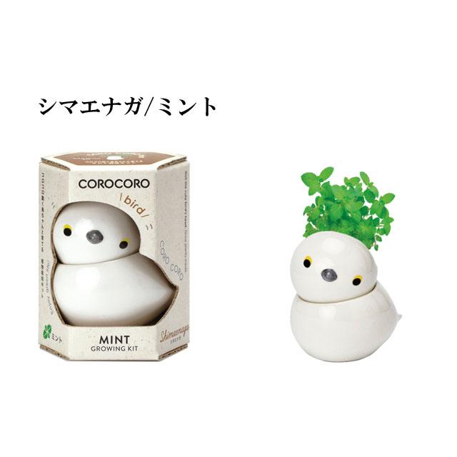 コロコロ バード 栽培セット 栽培キット ハーブ かわいい トリ 鳥 とり