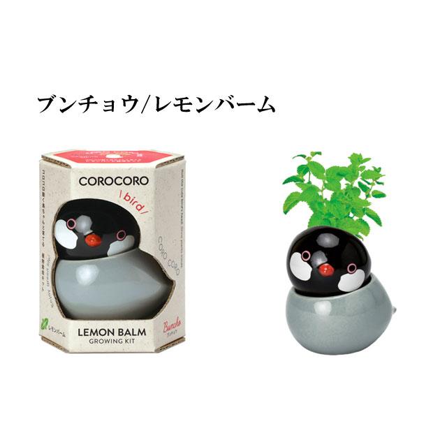 コロコロ バード 栽培セット 栽培キット ハーブ かわいい トリ 鳥 とり