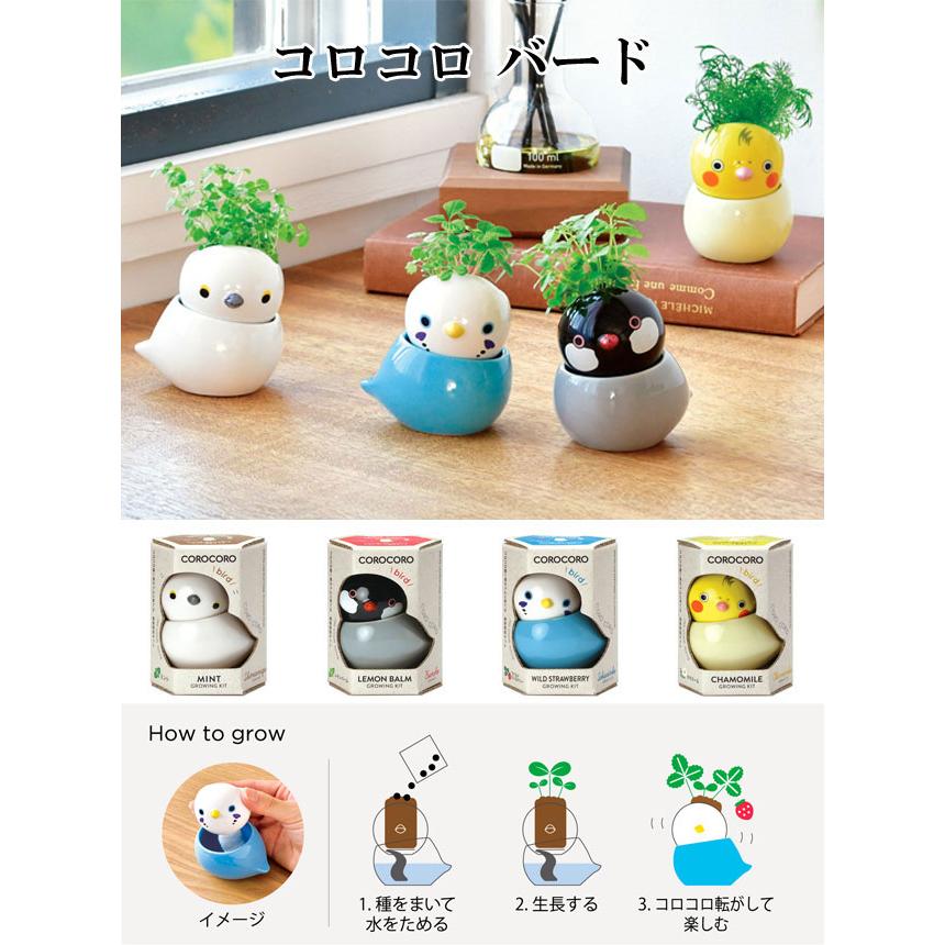 コロコロ バード 栽培セット 栽培キット ハーブ かわいい トリ 鳥 とり