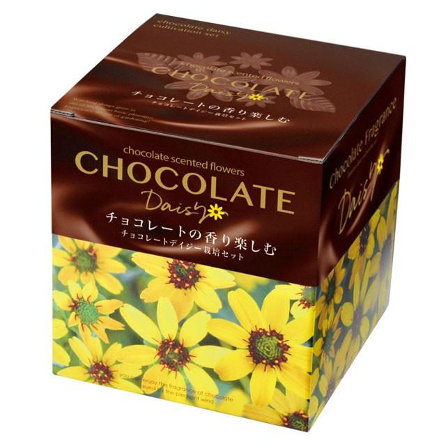 栽培キット チョコレート デイジー 栽培セット 即納 栽培 花 植物 かわいい プレゼント グリーン ハーブ 野菜 インテリア 置物 グッズ Sst103 癒しグッズ専門店 なごみ 通販 Yahoo ショッピング