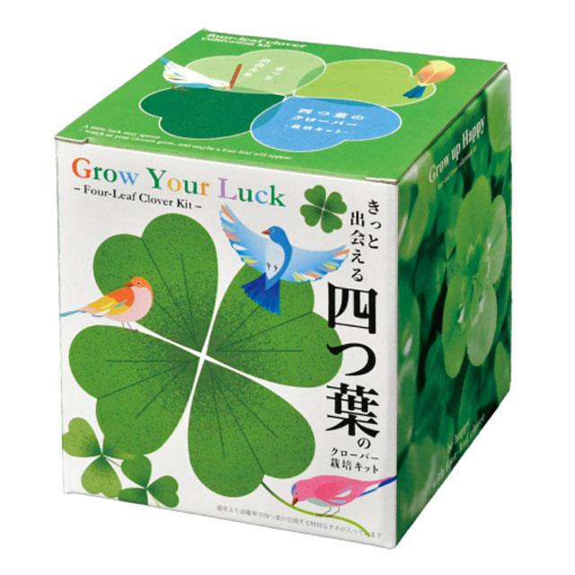 栽培セット きっと出会える 四つ葉のクローバー 栽培キット 四つ葉