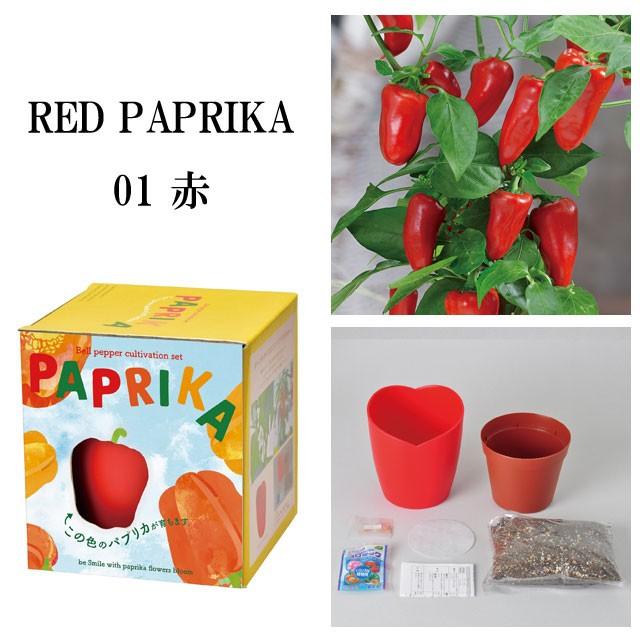 栽培キット Paprika パプリカ 栽培セット 栽培 セット キット 種 野菜 かわいい おしゃれ ギフト グリーン インテリア 置物 グッズ Sst5 癒しグッズ専門店 なごみ 通販 Yahoo ショッピング