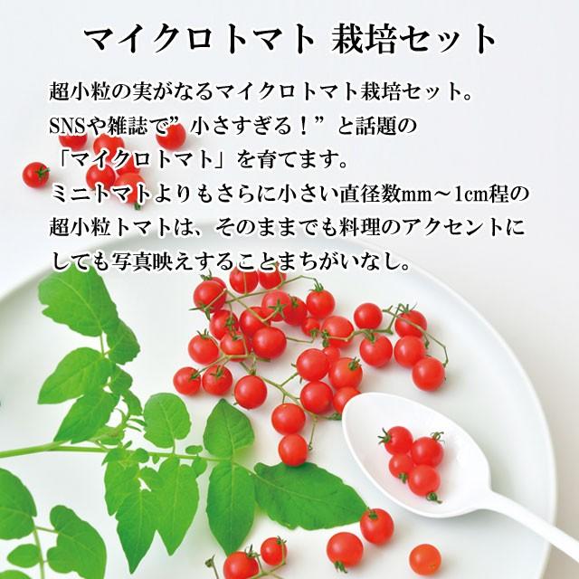 栽培キット Micro Tomato マイクロトマト 栽培セット トマト とまと 栽培 セット キット 種 野菜 かわいい おしゃれ ギフト グリーン インテリア Sst6 癒しグッズ専門店 なごみ 通販 Yahoo ショッピング
