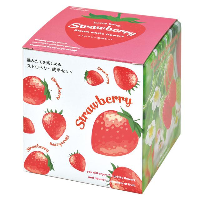 栽培セット 摘みたていちご Strawberry 栽培キット ストロベリー