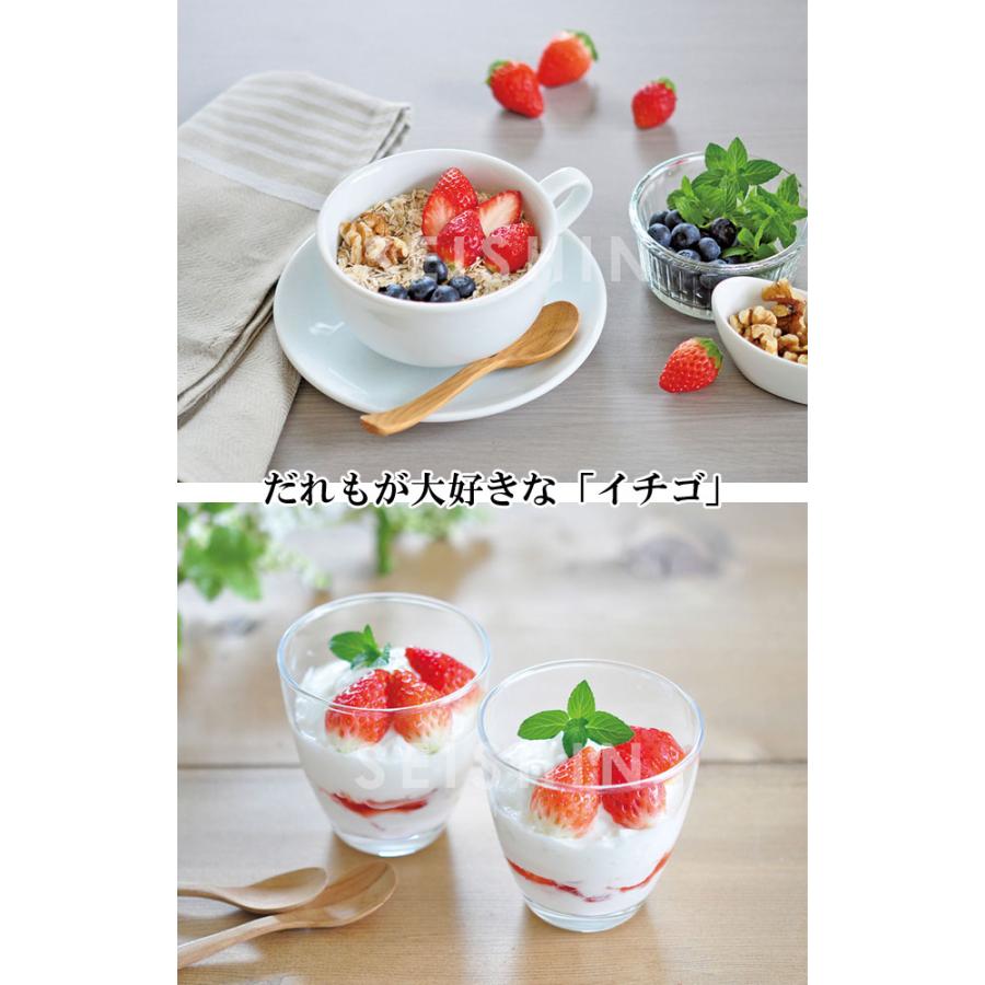栽培セット 摘みたていちご Strawberry 栽培キット ストロベリー