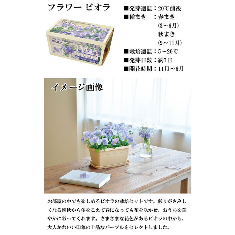 栽培キット エンジョイプランター ベジ フラワー エダマメ ミニトマト ミニヒマワリ コスモス ビオラ 栽培セット 種 野菜 かわいい おしゃれ ギフト インテリア Sst212 癒しグッズ専門店 なごみ 通販 Yahoo ショッピング
