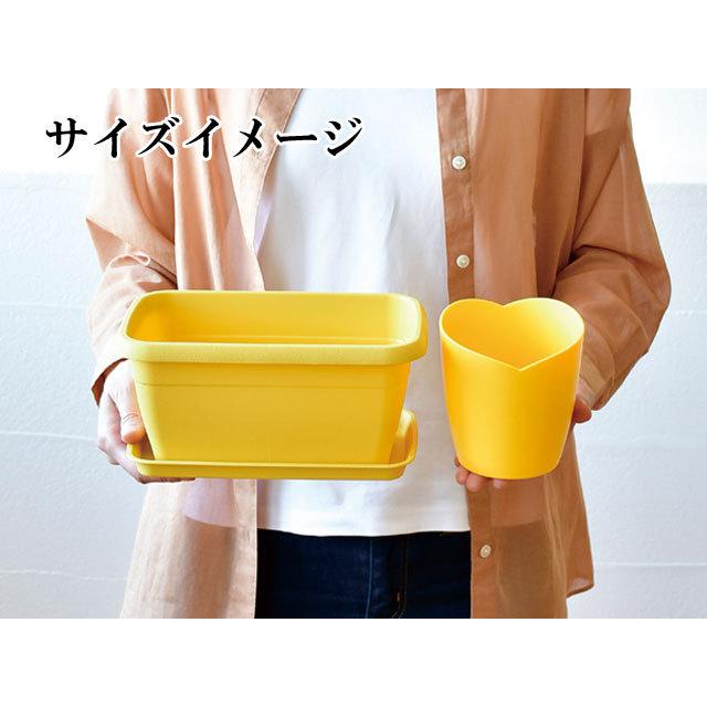 新商品 栽培キット エンジョイプランター ベジ フラワー エダマメ ミニトマト ミニヒマワリ コスモス ビオラ 栽培セット 種 野菜 かわいい おしゃれ ギフト インテリア Aynaelda Com