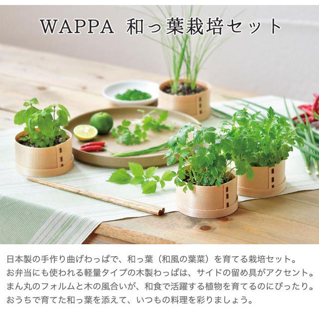 栽培セット WAPPA 和っ葉 栽培キット 植物 動物 グリーン ハーブ 野菜 シソ 三つ葉 コネギ 水菜 薬味 わっぱ かわいい おしゃれ インテリア 置物 グッズ｜753nagomi｜06