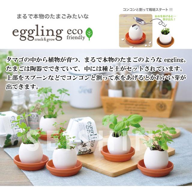 栽培キット eggling eco friendly エッグリング エコフレンドリー