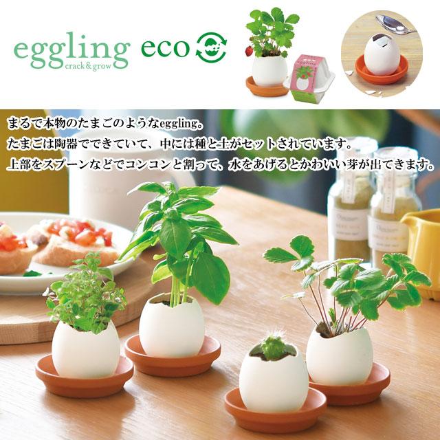 栽培キット ハーブ バジル ミント ワイルドストロベリー 四つ葉の 
