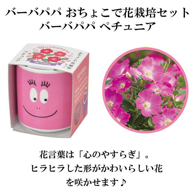 栽培キット バーバパパ おちょこで花栽培セット バーバズー バーバピカリ ペチュニア マリーゴールド クリサンセマム 種 栽培 キット セット かわいい おしゃれ Sst425 癒しグッズ専門店 なごみ 通販 Yahoo ショッピング