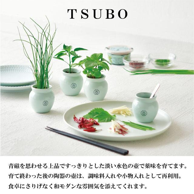 栽培キット TSUBO しそ 唐辛子 ねぎ 栽培セット 壺 種 野菜 とうがらし シソ トウガラシ ネギ かわいい おしゃれ ギフト グリーン インテリア 置物 グッズ｜753nagomi｜06