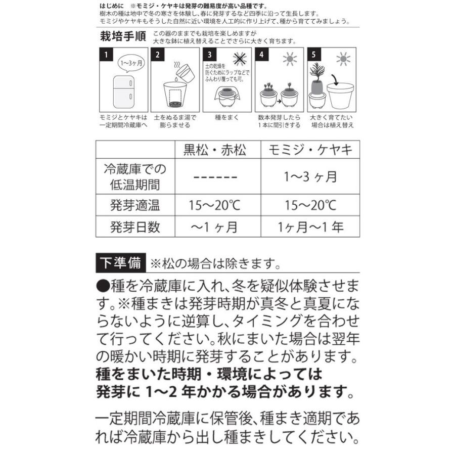 栽培キット 育てるカプセル まめ盆栽 栽培セット 盆栽 植物 グリーン ケヤキ モミジ 赤松 黒松 紅葉 もみじ 松 欅 かわいい おしゃれ ギフト インテリア｜753nagomi｜06