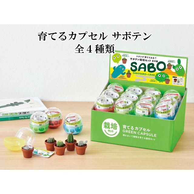 栽培キット 育てるカプセル サボテン 栽培セット 植物 グリーン 丸