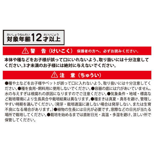 栽培キット 育てるカプセル サボテン 栽培セット 植物 グリーン