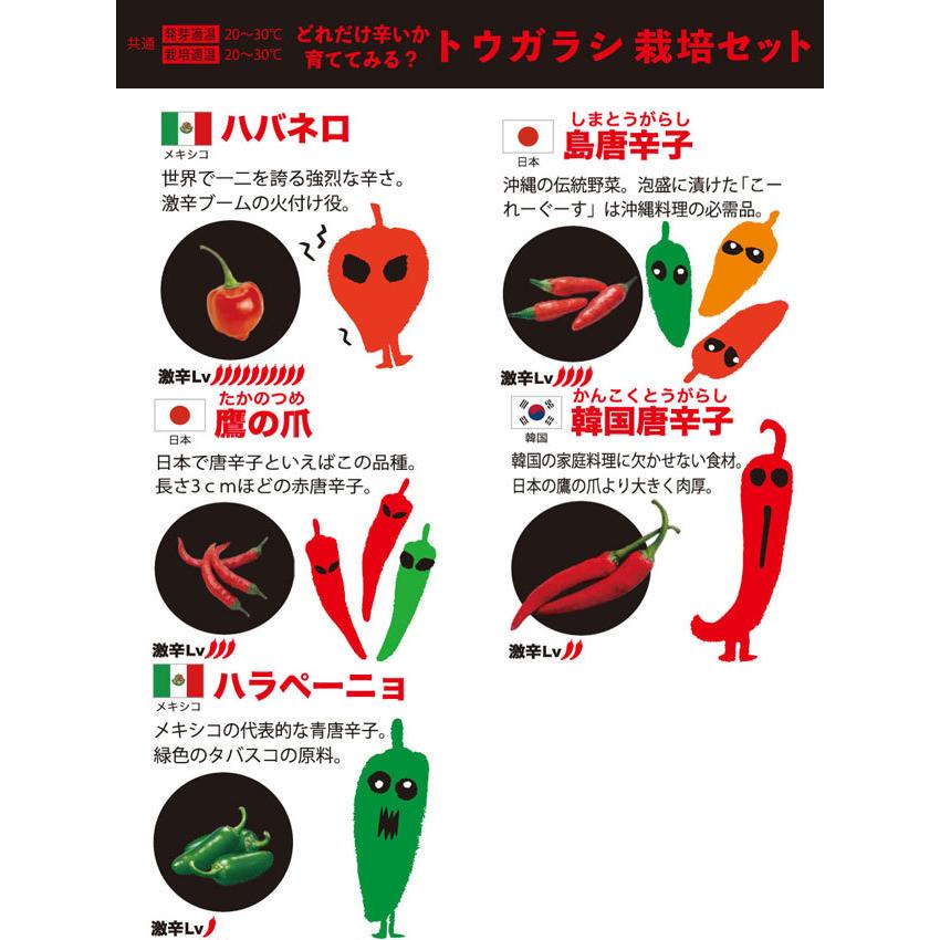 栽培キット 育てるカプセル トウガラシ 栽培セット 植物 グリーン ハバネロ 島唐辛子 鷹の爪 韓国唐辛子 ハラペーニョ 野菜 かわいい おしゃれ ギフト グリーン|753nagomi|02