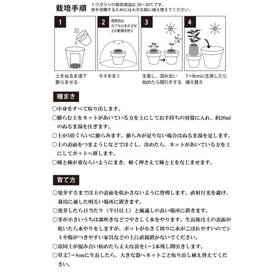 栽培キット 育てるカプセル トウガラシ 栽培セット 植物 グリーン ハバネロ 島唐辛子 鷹の爪 韓国唐辛子 ハラペーニョ 野菜 かわいい おしゃれ ギフト グリーン|753nagomi|05