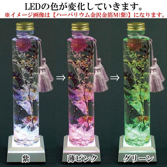 ボトルフラワー　ハーバリウム　ビン　瓶　48本セット ハーバリウム金沢金箔S(LED台付) 花材 オイル 瓶 花 植物 ギフト