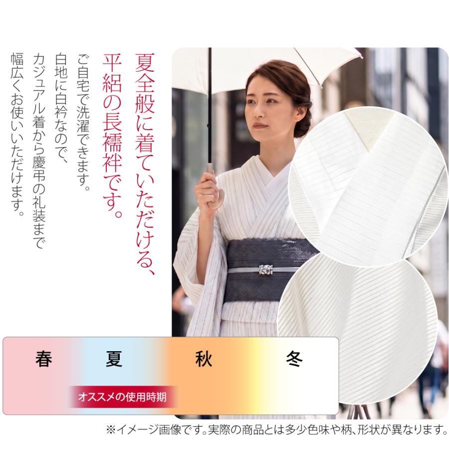 長襦袢 洗える 単衣用 薄物用 夏用 長襦袢 平絽 絽 半襟付 衣紋なし 女性 | なごみや | 01