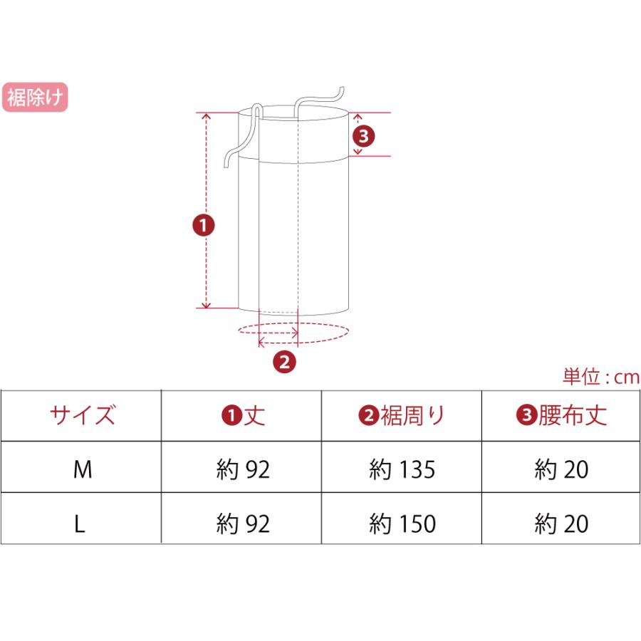 なごみや 長襦袢 洗える 薄物用 夏用 日本製 二部式襦袢 平絽 絽 半襟
