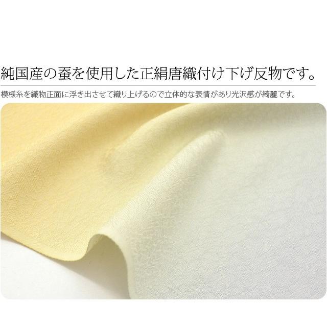 反物 染めの着物 袷用 単衣用 日本製 正絹 附下 グラデーション 防染唐草 着尺 四丈物 八掛付き レディース_1