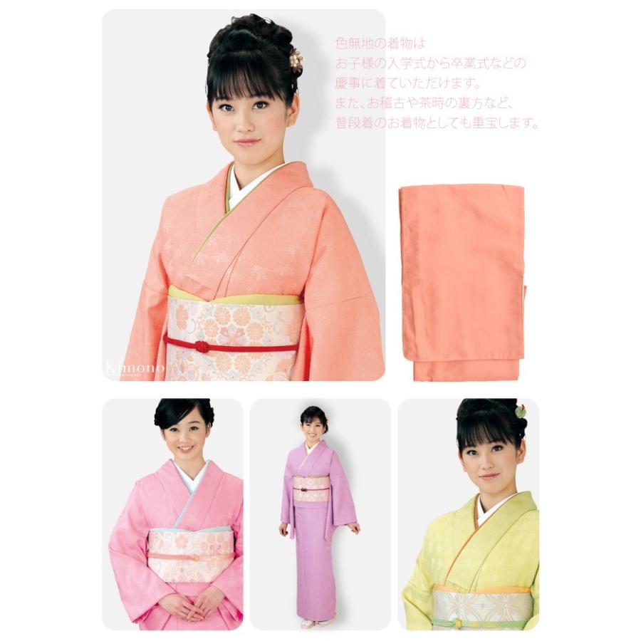 なごみや 爆買 洗える着物 単品 袷用 リョウコ・キクチ RK色無地プレタ