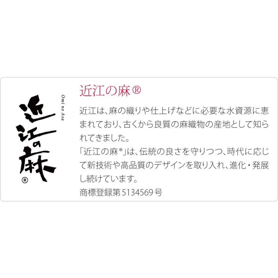 なごみや 着物 日傘 専用 通年用 近江麻 長傘 暑さ 熱中症 日焼け