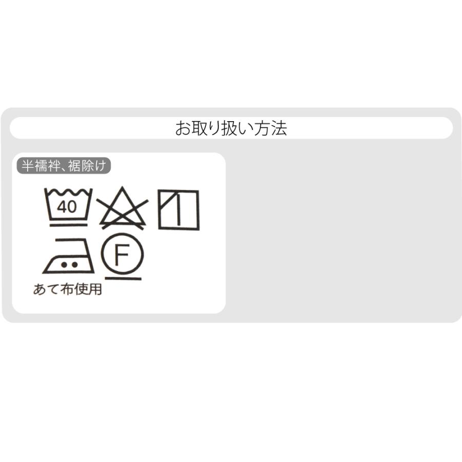 爆買 半襦袢 うそつき 襦袢 通年用 日本製 WASOUL レース 半襦袢 裾除け セット レース 半衿付き 肌襦袢 襦袢袖 衣紋抜き付 レディースの画像