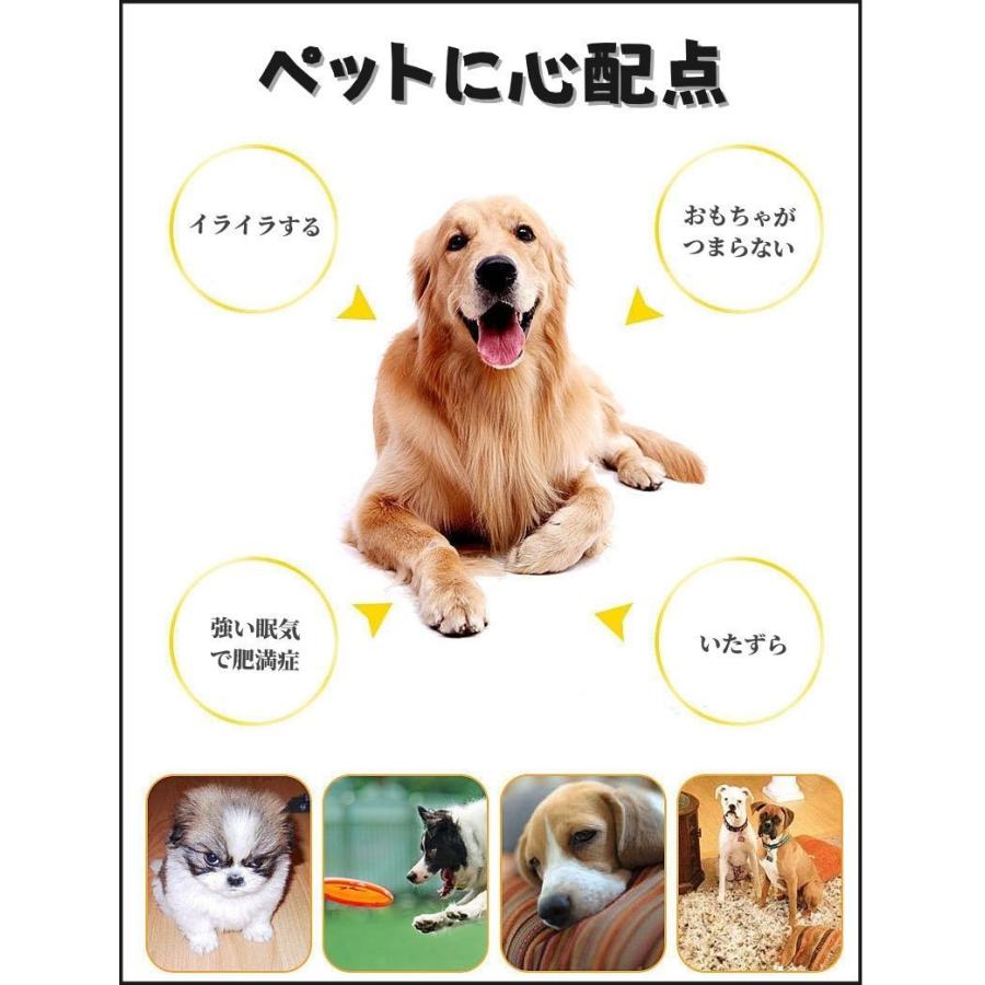 犬用 噛むおもちゃ ペット 歯磨き 玩具 音が鳴る いたずら防止 歯石防止 歯ぎしり 骨 かわいい 人気 小型犬 中型犬 大型犬 プレゼント 全犬種 送料無料 T006 南国sun 通販 Yahoo ショッピング