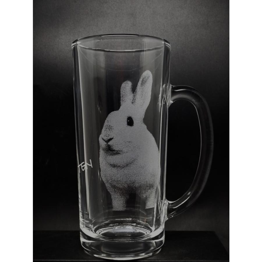 ビールジョッキ オリジナル ペット グッズ 写真彫刻 サンドブラスト｜7colors-glassart｜03