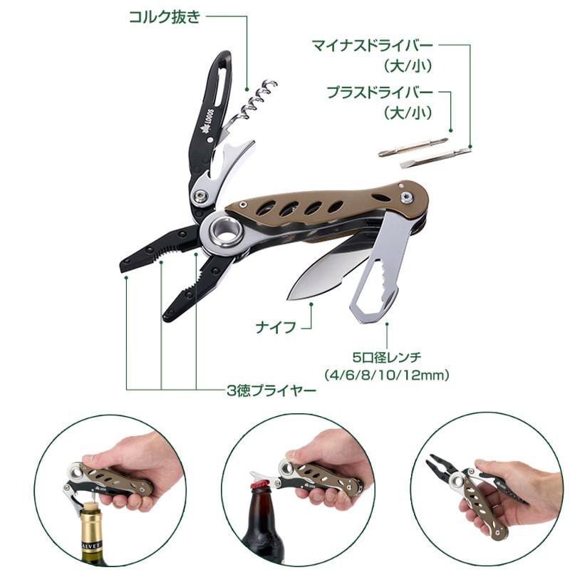 プヤ　アルペストリス　マルチヘッド　抜き苗 プヤ アルペストリス マルチヘッド 抜き苗 プヤ アルペストリス マルチ