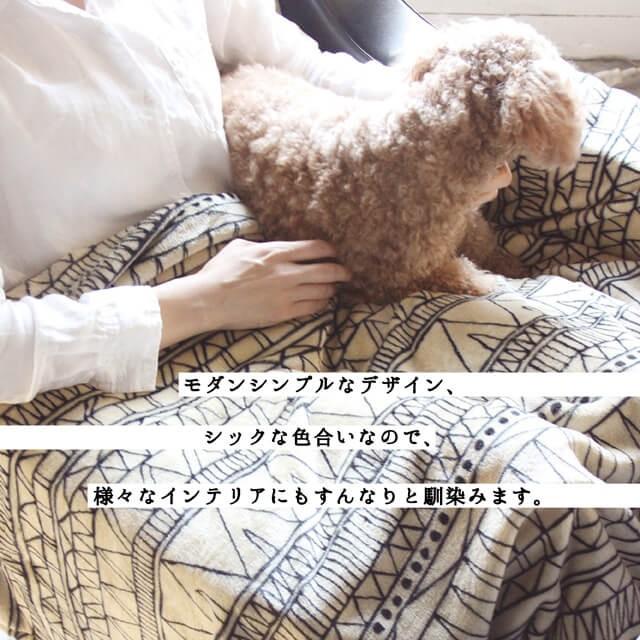 ふわふわブランケット150cm×100cm ふわふわの手触りが気持ちいいフランネルフリースブランケット 毛玉になりにくく、ホコリがでにくい ブランケット 大判 |  | 03