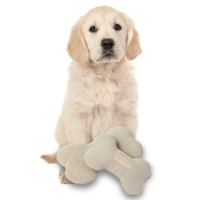 FuzzYard/ファズヤード Born Toy Sサイズ ボーントイ 骨 犬猫用おもちゃ コーデュロイ素材と綿素材の二面をもつ骨型のおもちゃ洗濯丸洗い可能 ノンアレルゲン |  | 01