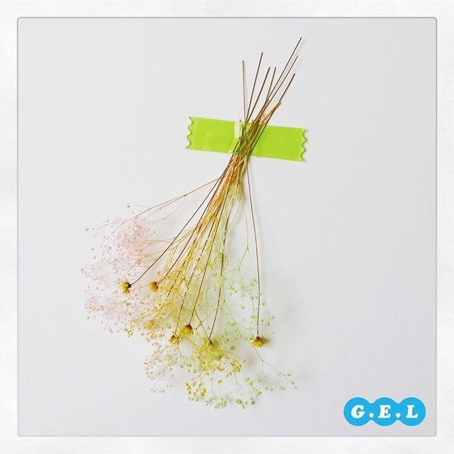 (クリックポスト発送)GEL ジェルのテープ丸カドテープ カットテープ 壁紙やガラスなどに貼ってはがせるジェルのテープ 繰り返し何度も使える 全6色各色12枚入 |  | 02