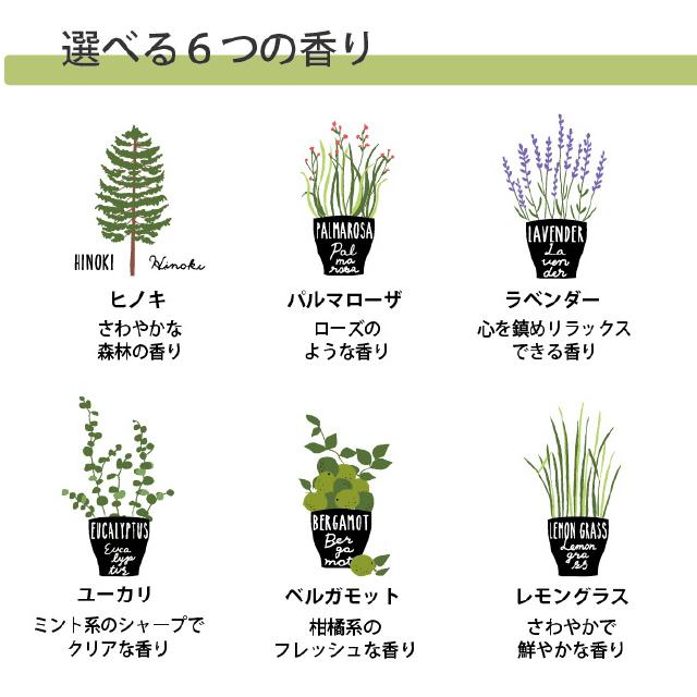 ヒノキ フレッシュウォーター HINOKI PLAMTS&ROOM FRESH WATER 天然ヒノキ水からできた安心・安全の100%天然成分の消臭、除菌ヒノキスプレー |  | 02