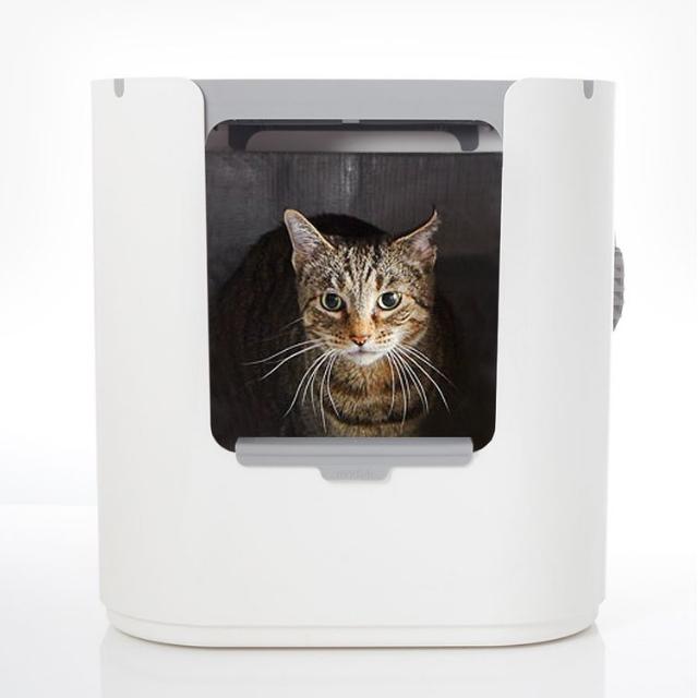 モデキャットXLリターボックス modkat XL litterbox XL103 前面