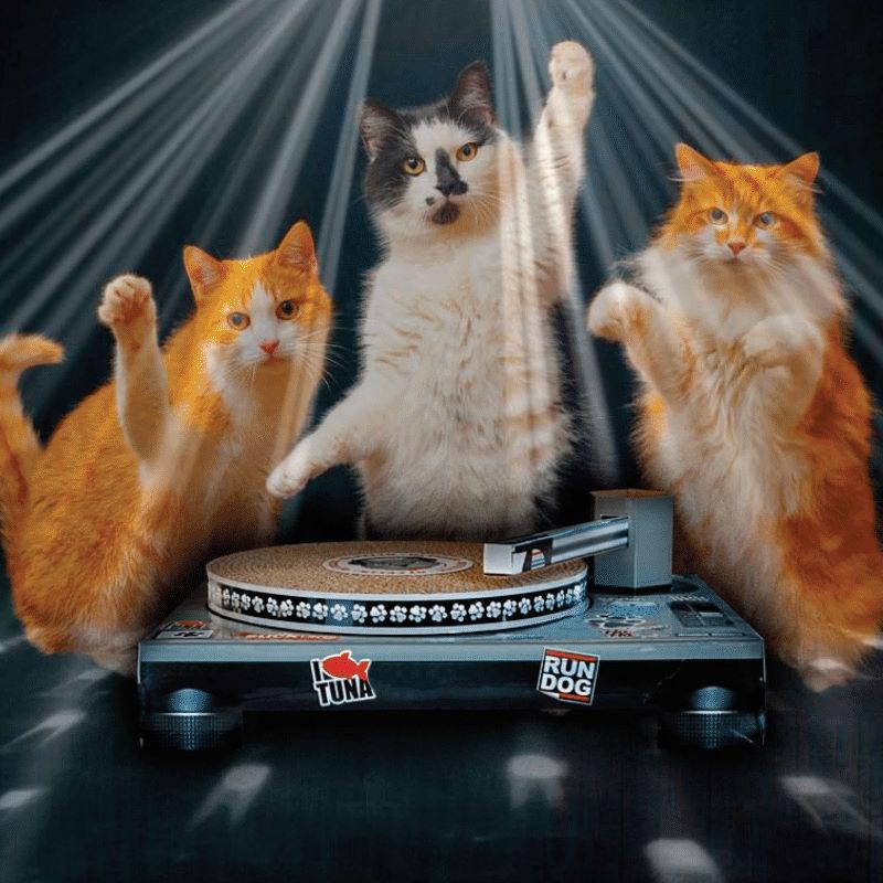 SUCK UK/サックユーケー キャットDJスクラッチングパッド DJの