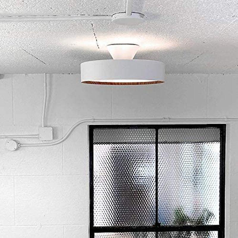 買い販売店 アートワークスタジオ グロー LED シーリングライト 12畳 LED電球付き 40000時間 調光 調色 (暖色/白色 切り替え可) 間接