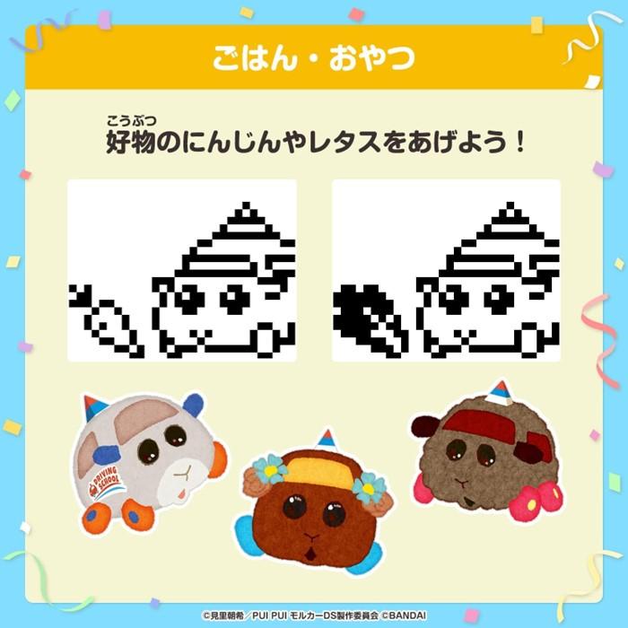 BANDAI PUI モルカー たまごっち モルカっち DRIVING SCHOOL Ver BANDAI PUI モルカー たまごっち モルカっち DRIVING SCHOOL Ver