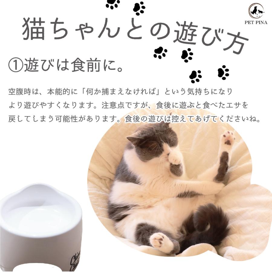 PET PINA ペットピナ キャットタワー 爪どきタワー ＆ おもちゃ 11点セット ハウス 室内 猫 子猫 おしゃれ キャットタワー 2段式 送料無料 沖縄・離島を除く｜7gadget-2｜08