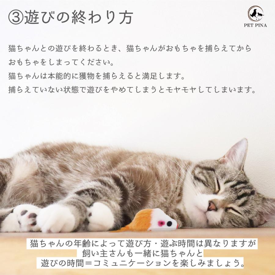 PET PINA ペットピナ キャットタワー 爪どきタワー ＆ おもちゃ 11点セット ハウス 室内 猫 子猫 おしゃれ キャットタワー 2段式 送料無料 沖縄・離島を除く｜7gadget-2｜10