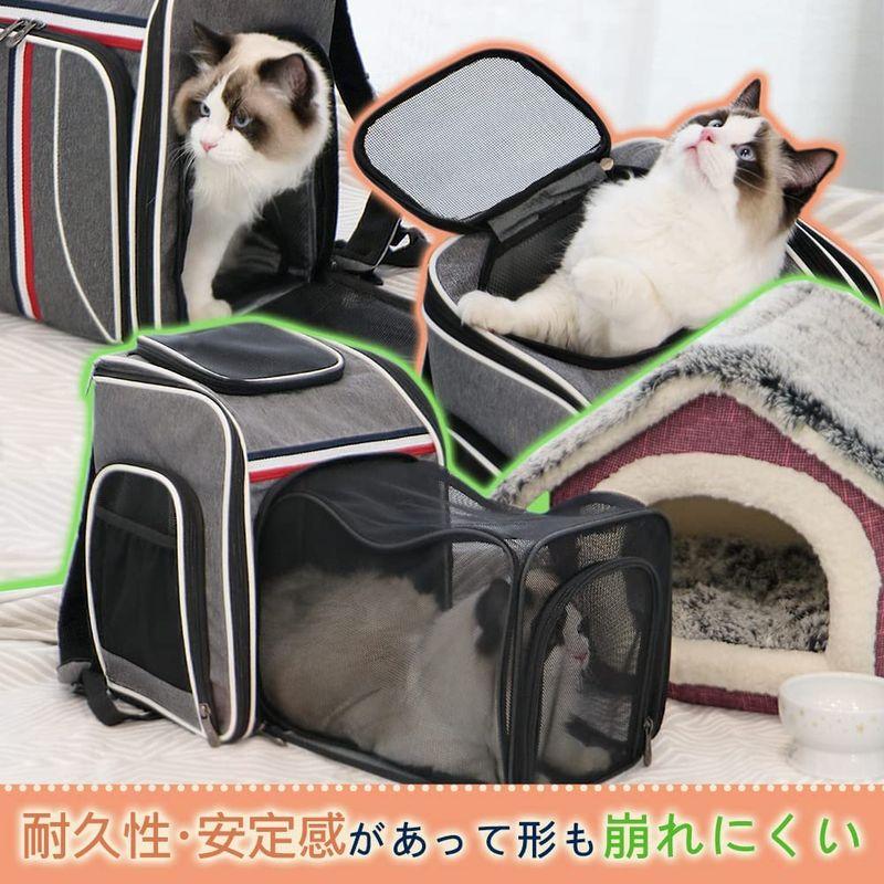 日本直営店 EMME キャリーバッグ 猫用 犬用 ペット リュック 窓 通気性