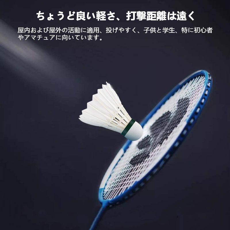 SALENEW大人気! バトミントンネット 公式 スポーツ ネット テニス バレーボール 羽 シャトル バトミントンネット 公式 スポーツ ネット テニス バレーボール 羽 シャトル