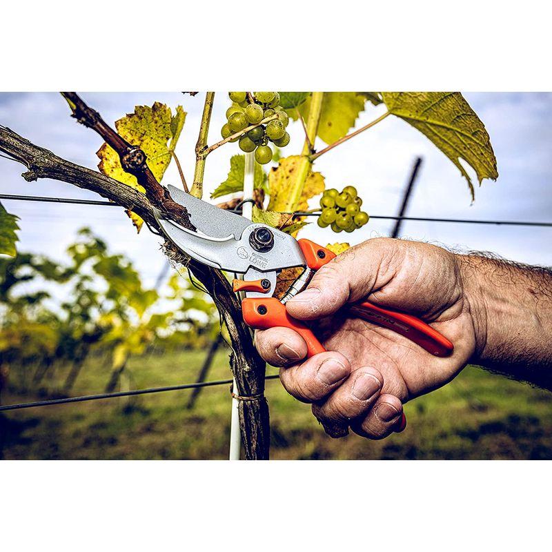 LOWE ライオン 剪定鋏 強力型 9104 LOWE ライオン 剪定鋏 強力型