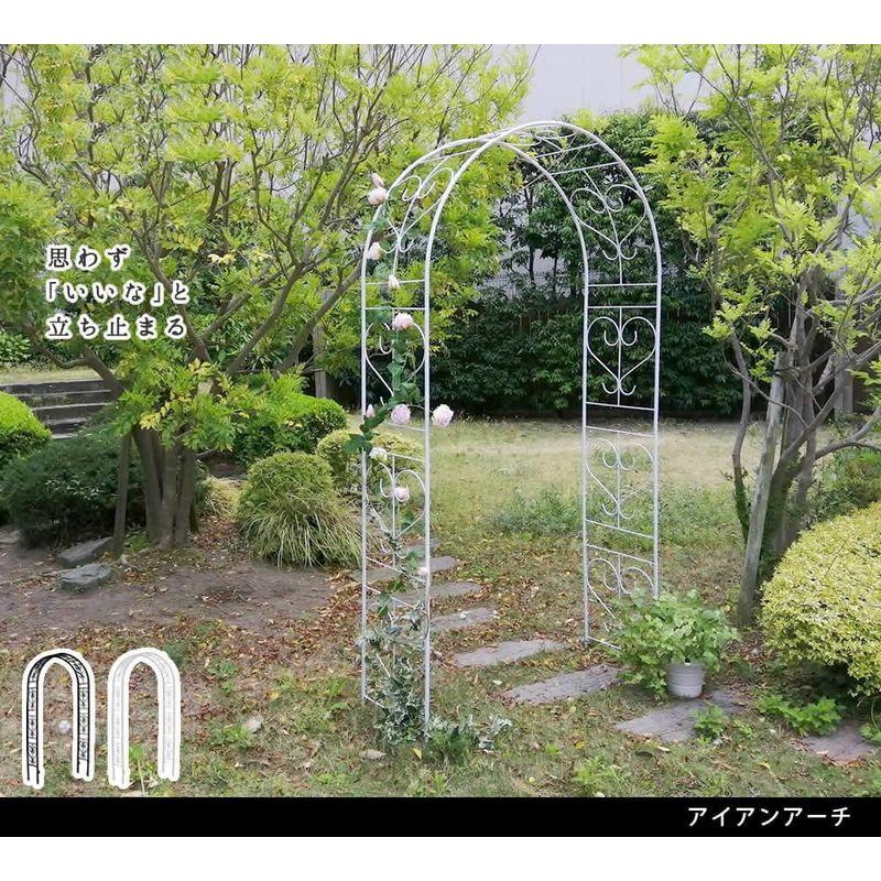 アイアンアーチ ガーデンアーチ フラワーアーチ ホワイト 白 コンパクト 幅114.5 奥行38 高さ233 おしゃれ ロココ調 アンティー ガーデンアーチ フラワーアーチ ホワイト コンパクト 幅114 奥行38 高さ233 おしゃれ ロココ調 アンティー