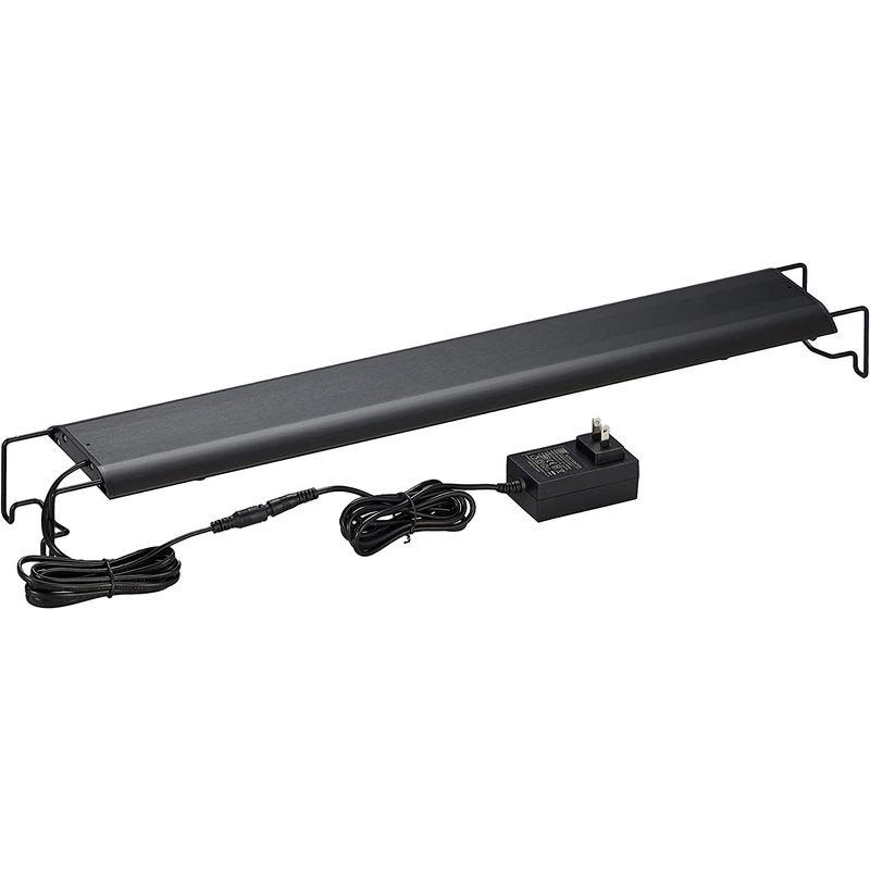 ボルクスジャパン Wing2 60 Fresh/フレッシュ Wing2 Fresh/フレッシュ