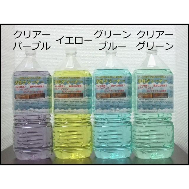 お好きなクリーナー10リットル　ポンプなし　 2リットル×5本　ボウリングボールメンテナンス専用クリーナー　ボーリング球洗浄剤 |  | 09