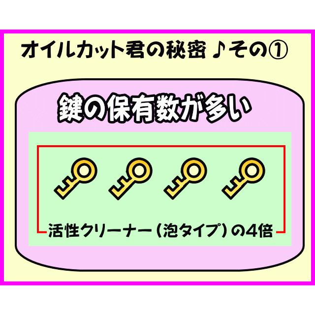 お好きなクリーナー26リットル　ポンプなし　 2リットル×13本　ボウリングボールメンテナンス専用クリーナー　ボーリング球洗浄剤 |  | 19