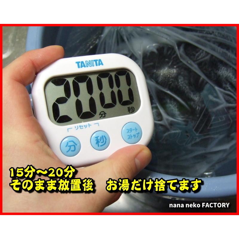 オイル抜き用添加プラスβ2 100回分 500cc（20倍濃縮）専用ポリ袋100枚