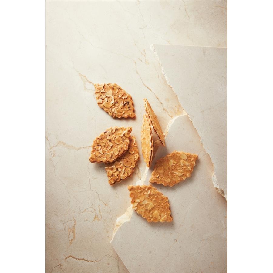 MO-4819 モロゾフ ファヤージュ（包装済） : セブントップ Yahoo!店